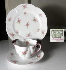 Shelley Dainty BRIDAL ROSE 13595 TRIO, Cup, Saucer, Salad Plate, Mint
