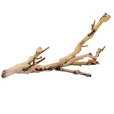 Exo Terra Forest Branch Small   Natural Wood Terrarium Small,