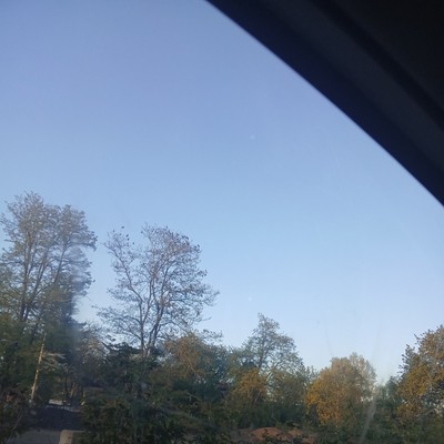 Sky Light