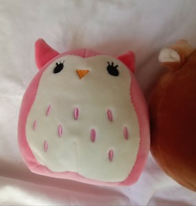 Protective Life Insurance Company Bbb Rating