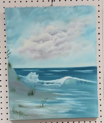 SeaScape Colorful Cloudy Sky over Blue waters