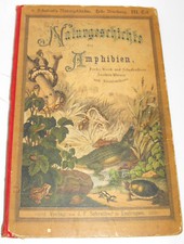 Naturgeschichte der Amphibien part 3 J F Schreiber 1880 German Color plates BooK
