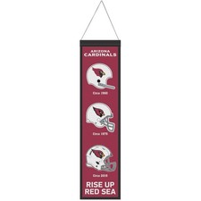 NFL Teams EVOLUTION Wool Banner 80x20cm