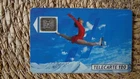 remote card F145A skater 1