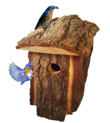 Bluebird House for Outdoor Backyard Rustic Natural Wood Looking Pine