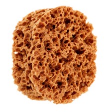 Natural Sponge Painting Sponge Tool Sea Sponge For Drywall And Painting