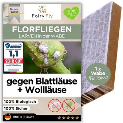 Florfliegenlarven gegen Blattläuse & Wollläuse - Nützlinge 250er Wabe FairyFly 