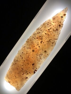 Gorgeous Very Rare Translucent 3 1/2   Paleo Agate Arrowhead Colorado X B Gandee