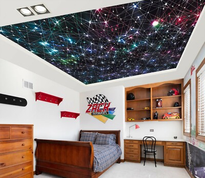 3D Color Stars A2269 Ceiling WallPaper Murals Wall Print Decal Deco AJ WALL Fay
