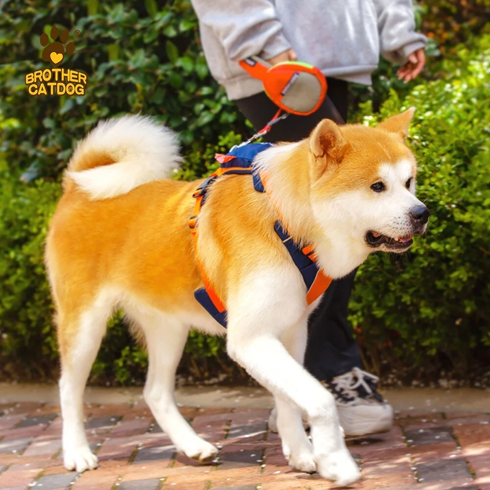 Dog Harness with Leash Set, No Pull Adjustable Reflective Step Puppy Harness.