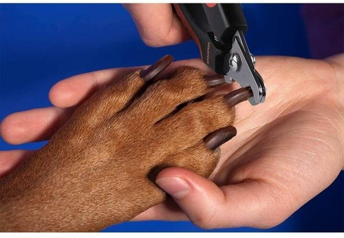 Hundezehennagelschneider für große Hunde professionell strapazierfähig mit Schutz - Bild 4 von 12