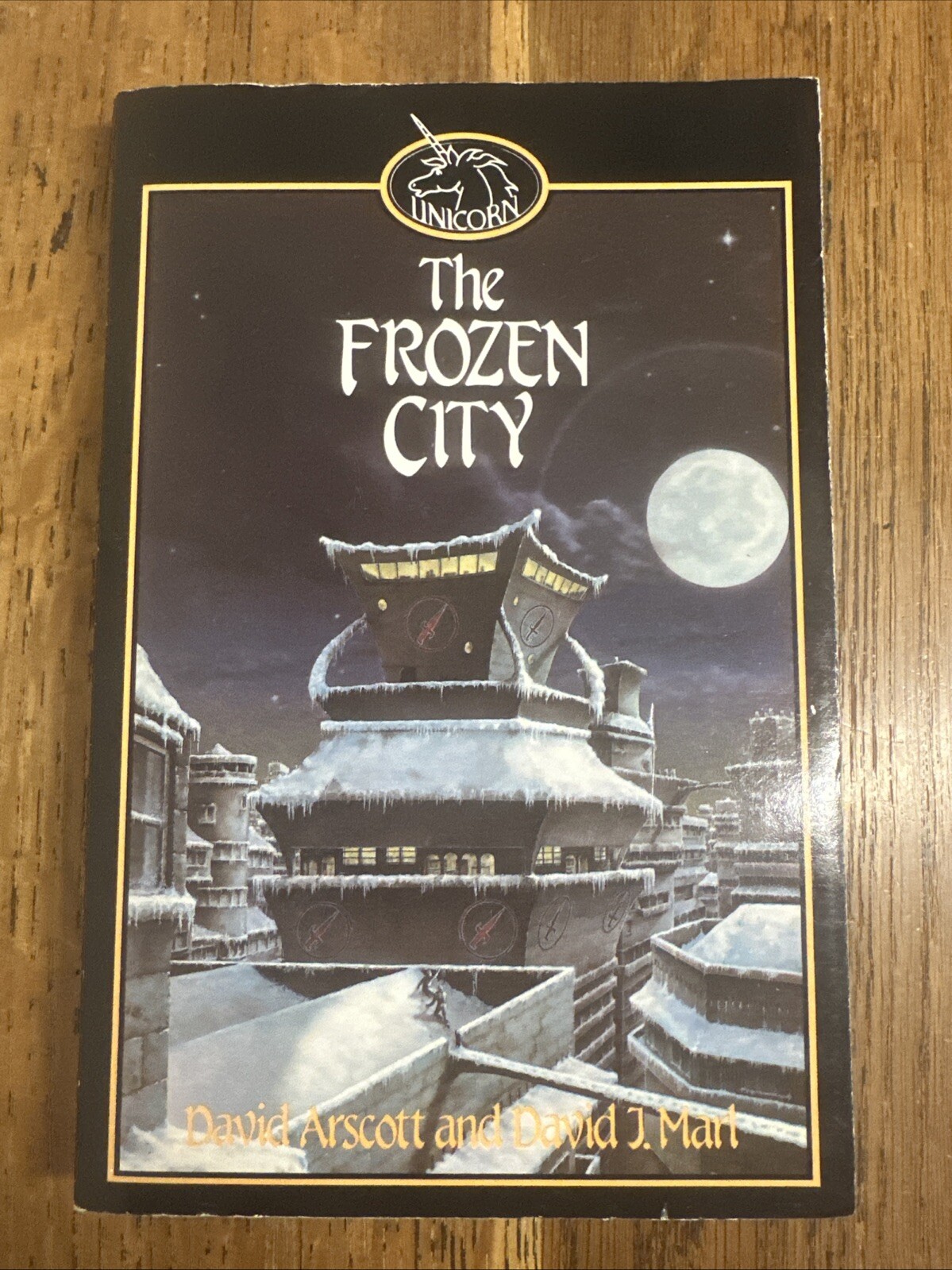 The Frozen City by David Arscott & David Marl 1985 UK Unwin PB 1st - Vintage VGC