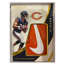 Panini Immaculate Gloves 2019 - David Montgomery 4/15 #IG-11 (MEM)