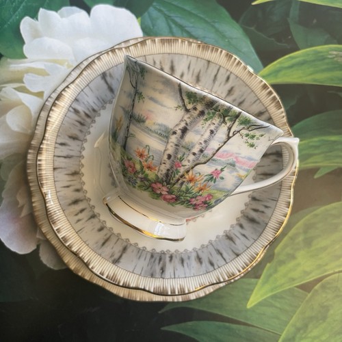 Vintage Royal Albert Silver Birch Gold Trim Tea Cup & Saucer & Bread Plate Trio - Picture 3 of 10