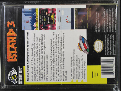 Adventure Island 3 (Nintendo Entertainment System, 1992) for