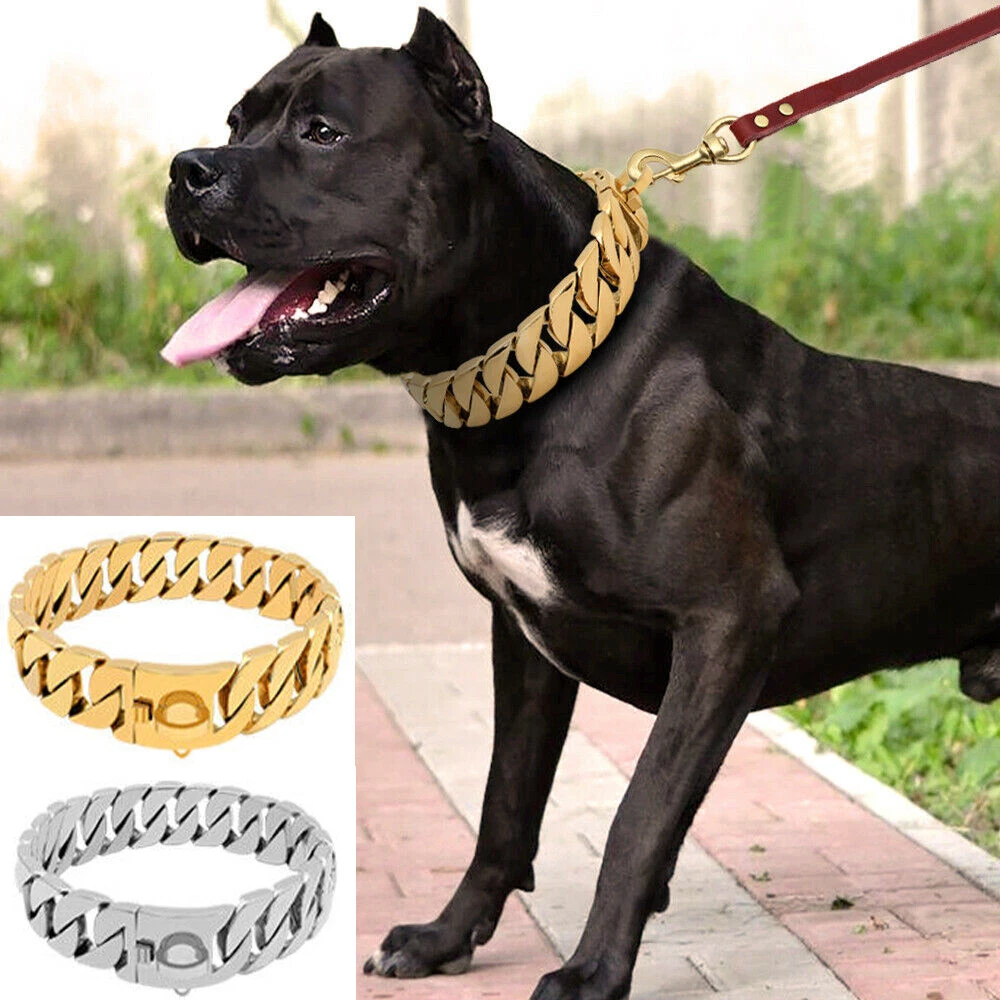 Pitbull heavy chain clearance collars
