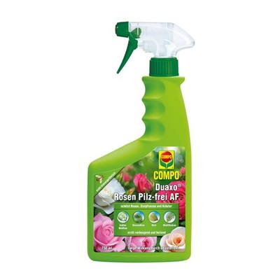 COMPO Duaxo Rosen Pilz-frei AF 750 ml Zierpflanzen Sternrußtau Mehltau Rost