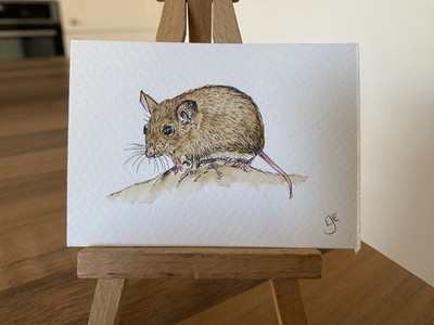 ORIGINAL (kein Druck!) ACEO Miniaturgemälde: Holzmaus von Lisa EVANS