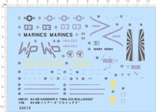 Water Slide Decals -1/48 AV-8B Harrier II Jet US Marine VMA-223 Bulldogs 161584
