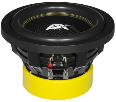 ESX QXE10D2 25 cm (10 ) Woofer Compact Subwoofer 600/1200 Watt RMS/Max 2 + 2 Ohm