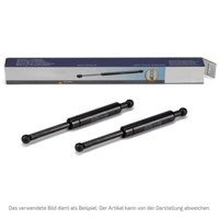 2X Stabilus 4043KY HeckscheibendäMpfer FüR BMW 5Er E39 Touring 51248190688