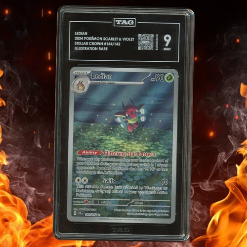 Ledian - 003/142 - Holo Rare - Stellar Crown - Pokémon TCG - NM/M