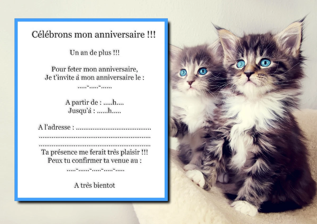 Carte Anniversaire Chat + Enveloppe - Neuf - Made In France