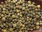 Piper Nigrum (Green Peppercorn) 50 seeds