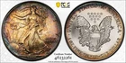 1992 $1 Toned Silver Eagle PCGS MS67 One Dollar Toner 46232261
