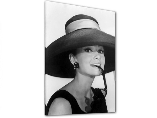 Tableau Audrey Hepburn Noir Et Blanc Impression Sur Toile Art Moderne Ad13 Ebay