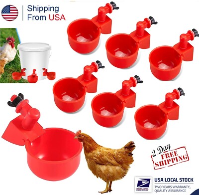 6 × Automatic Water Cups Poultry Drinker Waterer Chicken Duck Quail Drinking USA