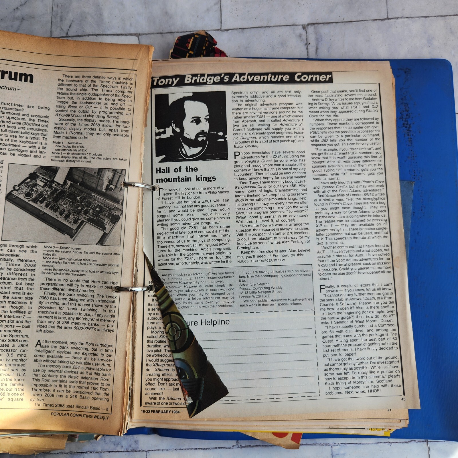 Bild 10 von 11