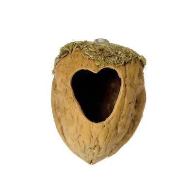 OPUS VITA Walnut Hide made with Natural Walnut Shells - Decor - Jumping Spider Setup