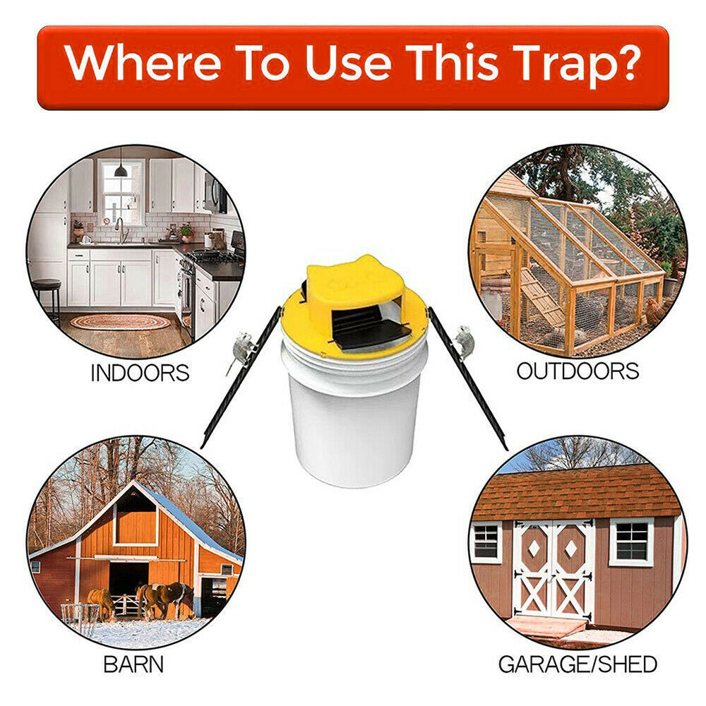 NEW Humane Rat Trap Live Mouse Trap Flip Slide Bucket Lid Squirrel Trap