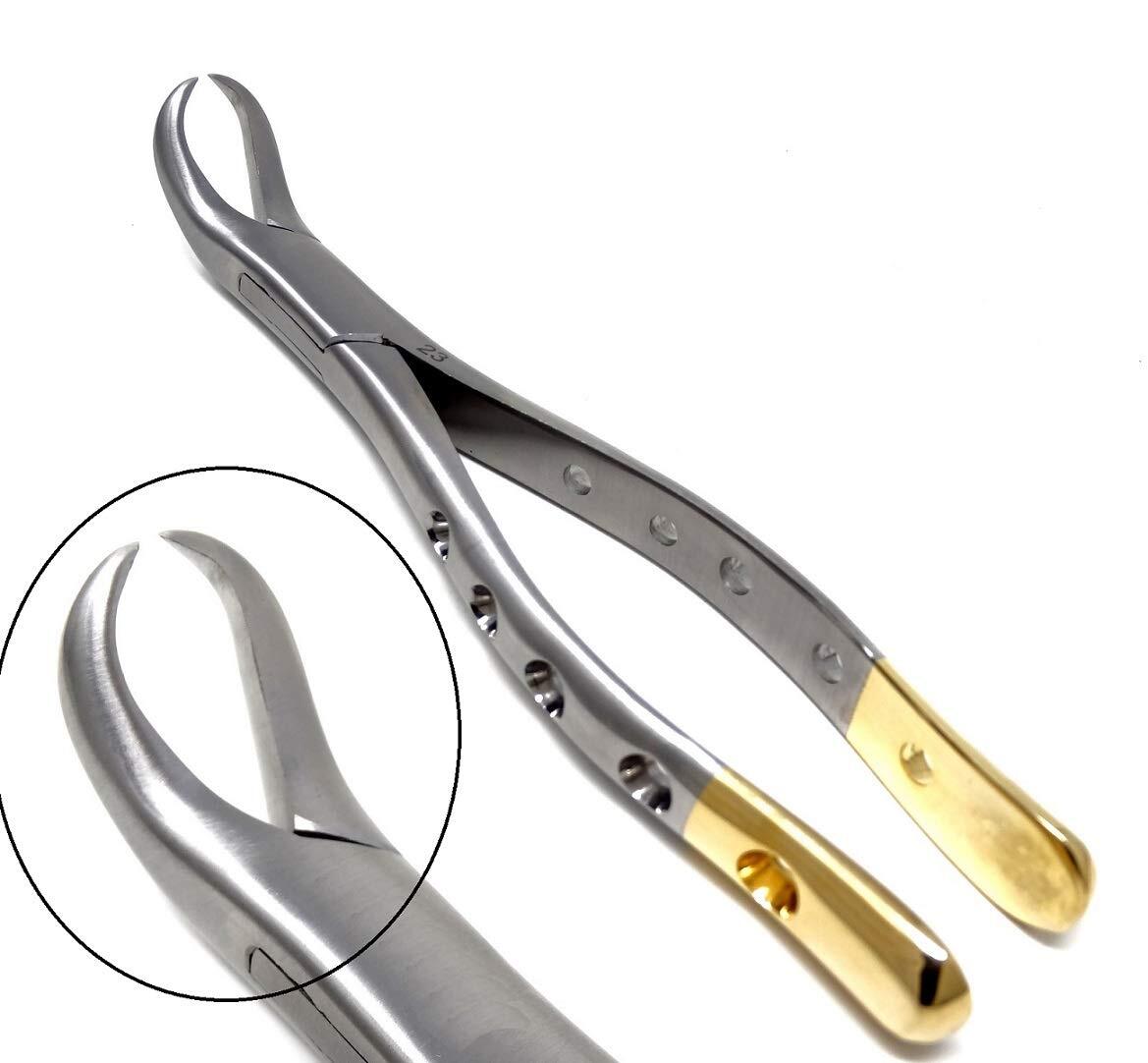 Set Of 5 Cow Horn Extracting Forceps #23 - For 1st & 2nd Lower Molars, Stainless Steel Dental Instruments