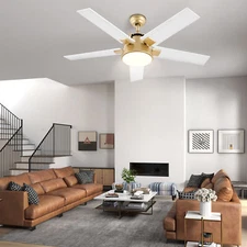 52'' Ceiling Fan with Light +Wall Switch Remote Modern Gold Fan Reversible Motor