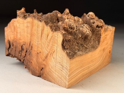 Hohl Live Edge Maser Ulme Harz Quadrat Drechselholz Schale Rohling 6,5x4. zoll 1,8 kg