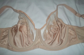 Wacoal 85121 Beige Nude Feather Sheer Embroidery Underwire Bra size 34D