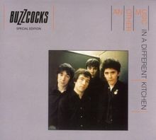 Another Music in a Different von Buzzcocks | ...