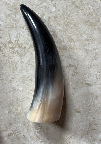 SET 2 Tarros De Buey/ Bull’s Horn 9”/10”Santeria IFA Yoruba - Picture 3 of 3
