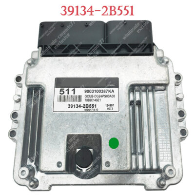 511 39134-2B551 Engine Car Electronic Control Unit ECU For KIA