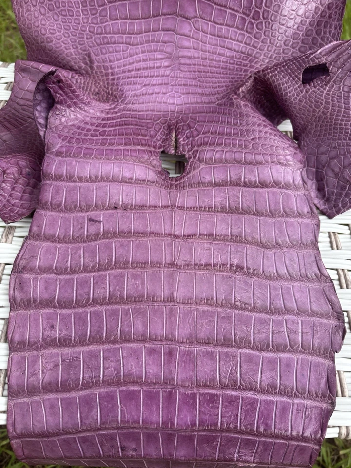 Vientre de caimán salvaje cuero curtido profesionalmente en rosa pastel Foto 3 de 4