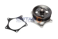 Chitao Wasserpumpe MotorküHlung CT10966 FüR Mg Hs AS23 SAS23