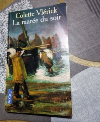 BUCH*DIE FLUT DES ABENDS*Colette Vlerick (Bretagne)