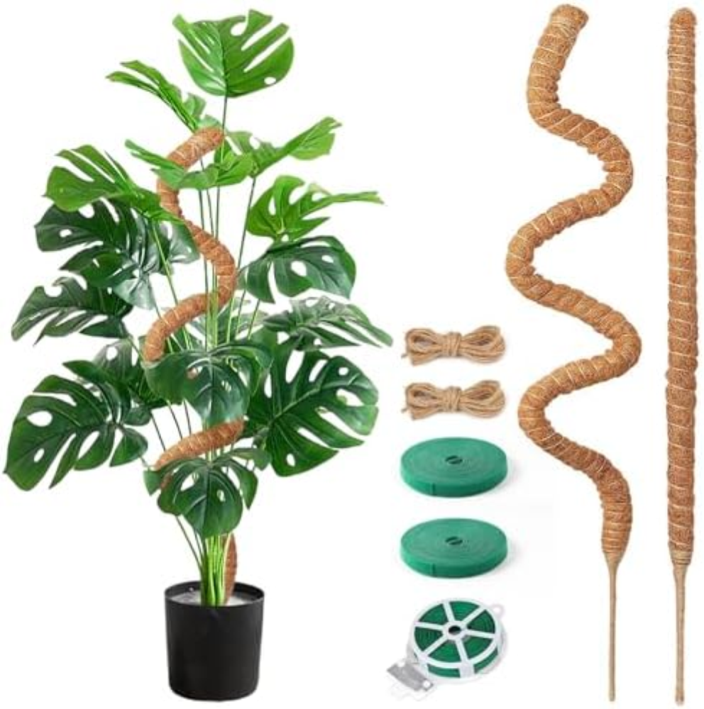 Supporto per rampicanti Monstera, 75 cm, 2 pezzi per Monstera con accessori, sup