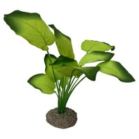 Aqua Della Anubias 3 Dekoration 20Cm GrüN FüR Aquarium & Terrarium