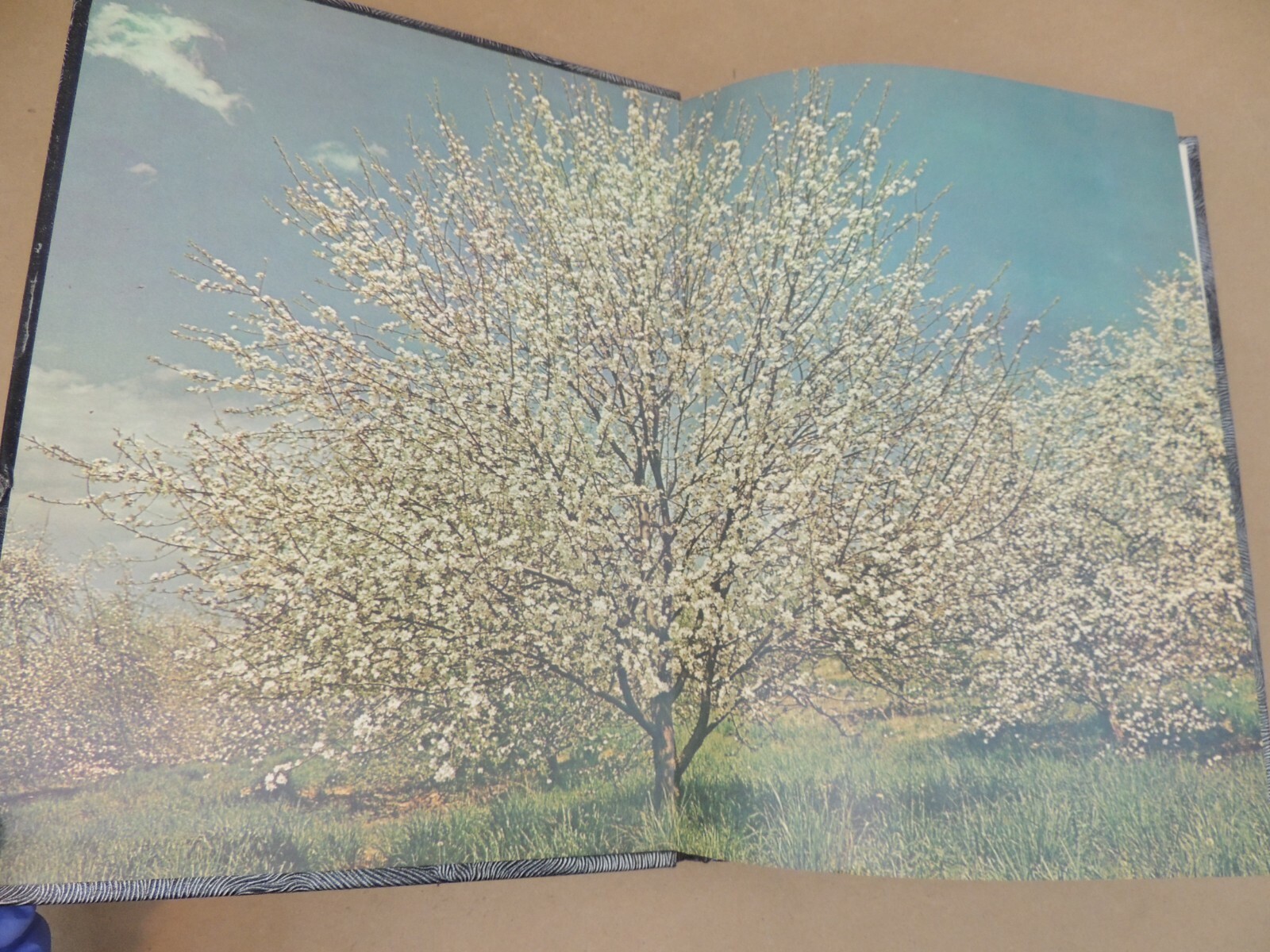 Bild 2 von 12