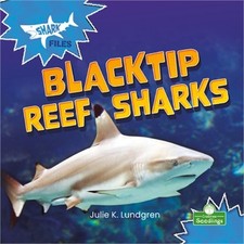 Blacktip Reef Sharks (Paperback or Softback)