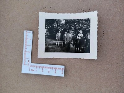   Altes Foto Fotografie 1930er Jahre Mann Junge Pferde