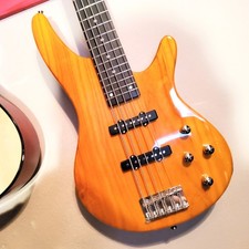   PROS  BEGINNERS   5 String I Style Electric Bass Guitar Soft Case/Gig Bag 